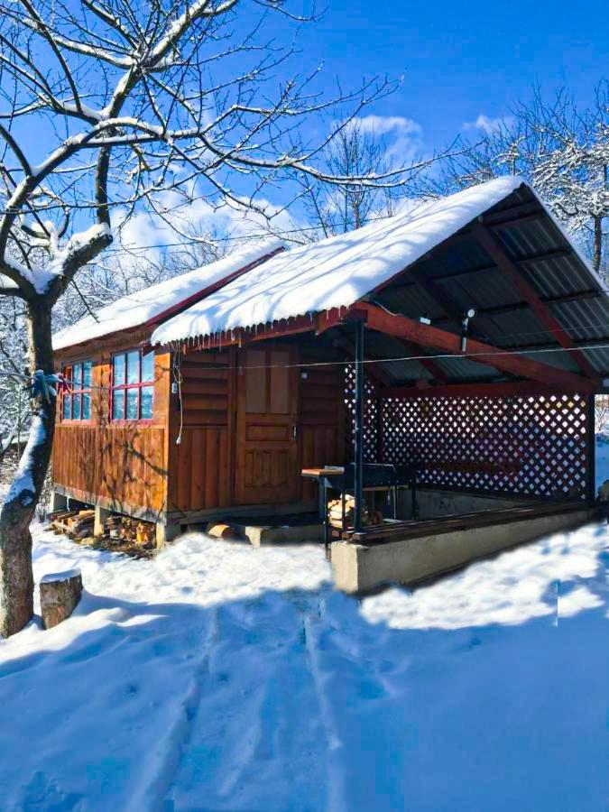 Villa Під Лісом У Гіда Jaremtsche Exterior foto
